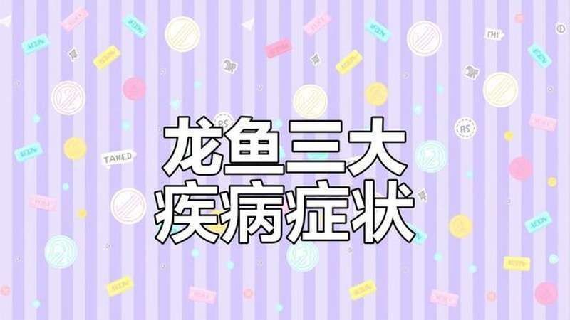 龍魚外細菌感染