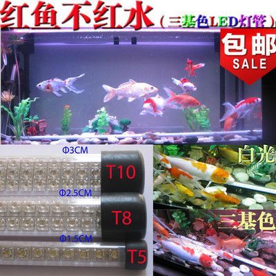 龍魚增色燈怎么用的：關于龍魚增色燈的使用方法
