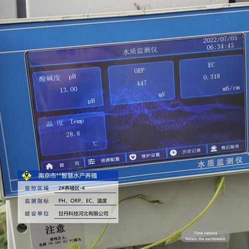 如何檢測福龍魚的水質？