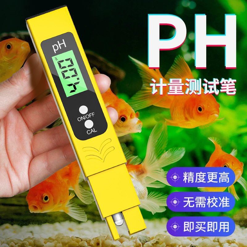 如何檢測福龍魚的水質？