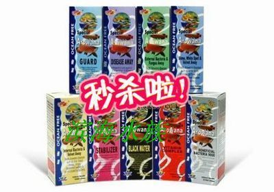 龍魚缸的最佳尺寸：龍魚傷口護理