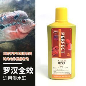 龍魚缸的最佳尺寸：龍魚傷口護理