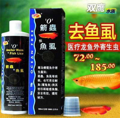 龍魚專用藥水：如何選擇龍魚專用藥水