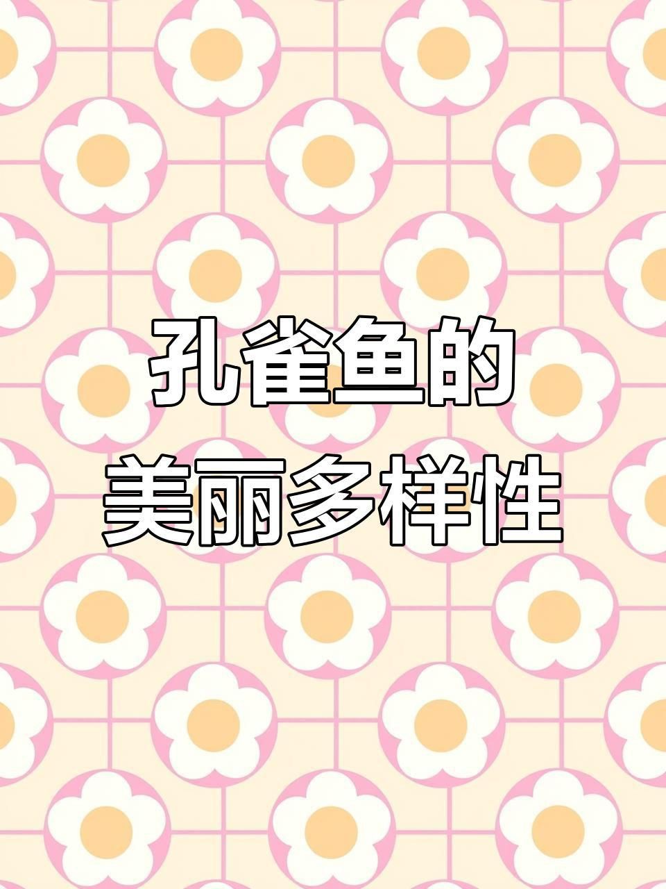 孔雀魚哪個品種最漂亮