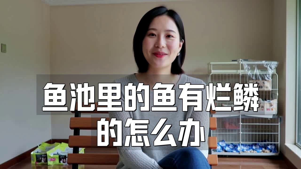 龍魚產卵后如何處理好：龍魚產卵后如何處理