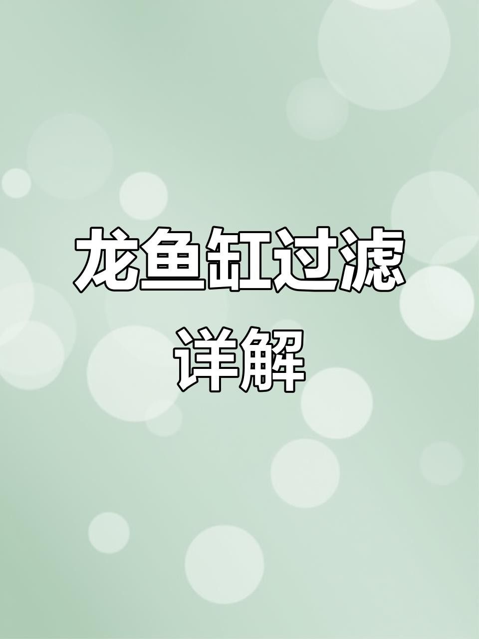 如何判斷一個龍魚缸的性價比？ 如何判斷一個龍魚缸的性價比？ 龍魚百科 第4張