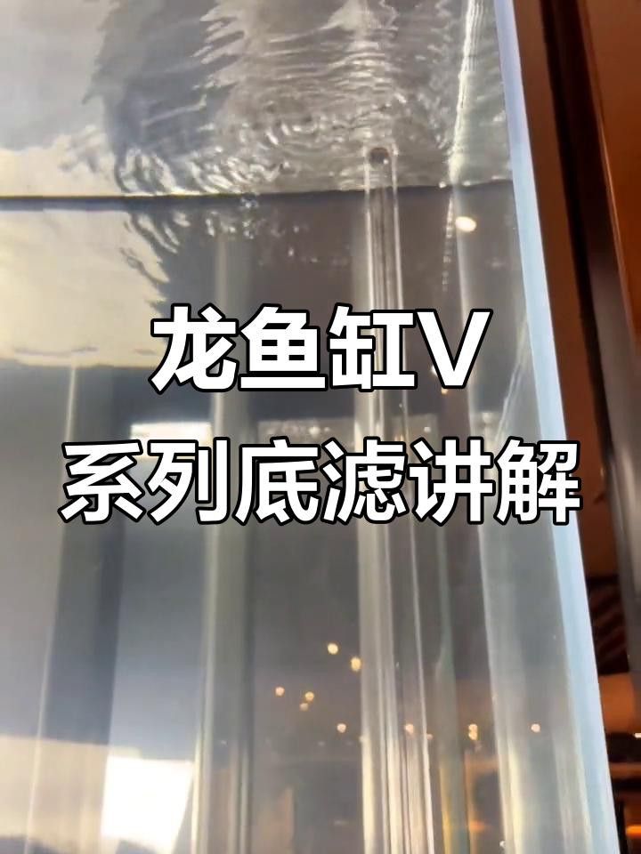 如何判斷一個龍魚缸的性價比？ 如何判斷一個龍魚缸的性價比？ 龍魚百科 第6張