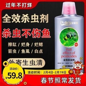 龍魚有寄生蟲怎么辦啊吃什么藥：如何治療龍魚寄生蟲 龍魚有寄生蟲怎么辦啊吃什么藥：如何治療龍魚寄生蟲 龍魚百科