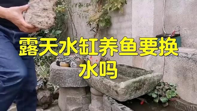 露<strong><mark>天水</mark></strong>缸養(yǎng)魚要換水嗎