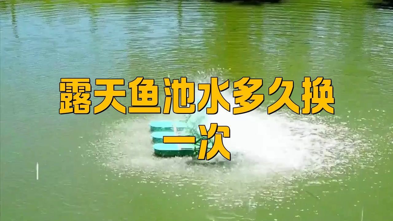 露天水缸養魚要換水嗎