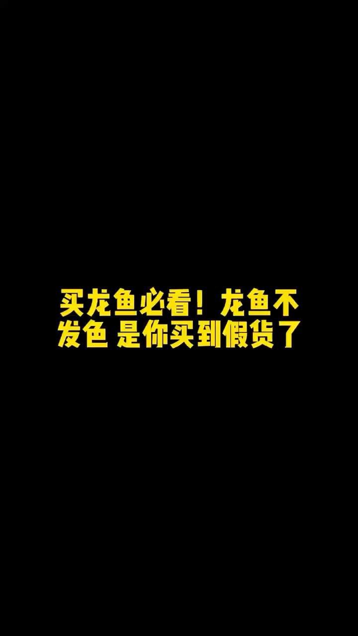 如何判斷金背龍魚的血統純正？