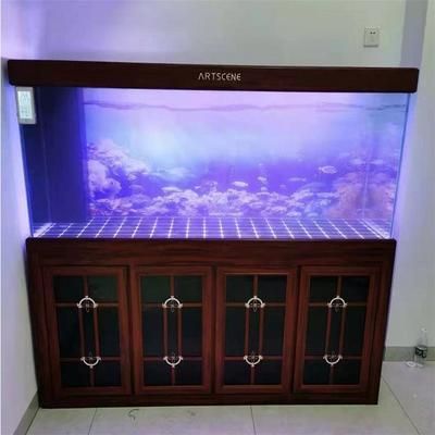 龍魚缸需要什么設備才能養：養龍魚所需的詳細設備清單