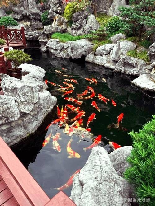 龍魚缸造景圖片高清圖