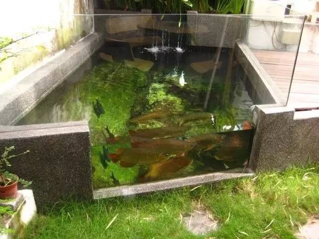 龍魚缸造景圖片高清圖
