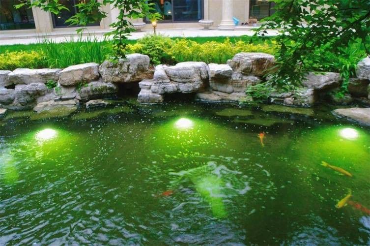 龍魚缸造景圖片高清圖