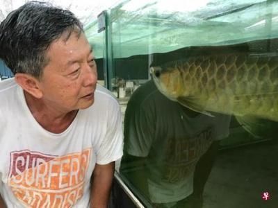 大湖系紅龍魚怎么養：大湖系紅龍魚的飼養方法