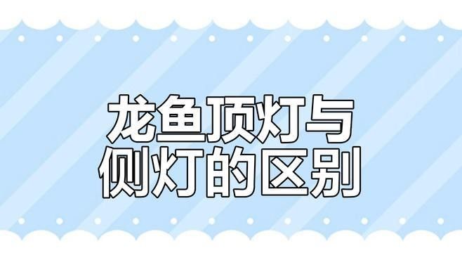 龍魚用什么燈不掉眼 龍魚用什么燈不掉眼 龍魚百科 第2張