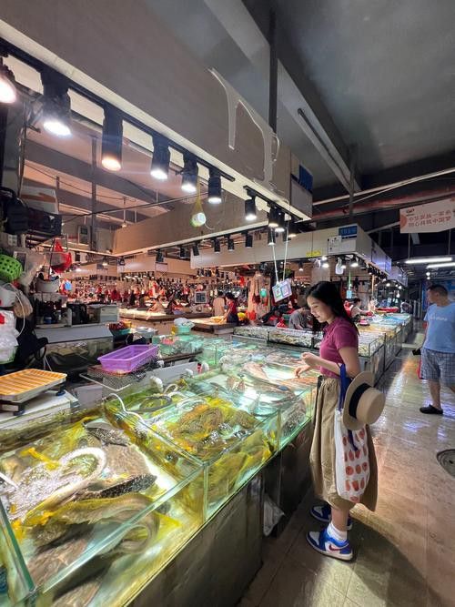 鄭州哪個市場賣龍魚好吃 鄭州哪個市場賣龍魚好吃 龍魚百科 第5張