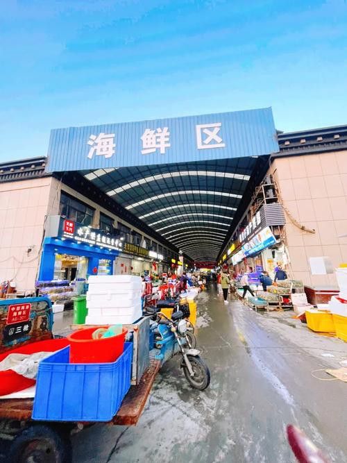 鄭州哪個市場賣龍魚好吃 鄭州哪個市場賣龍魚好吃 龍魚百科 第1張