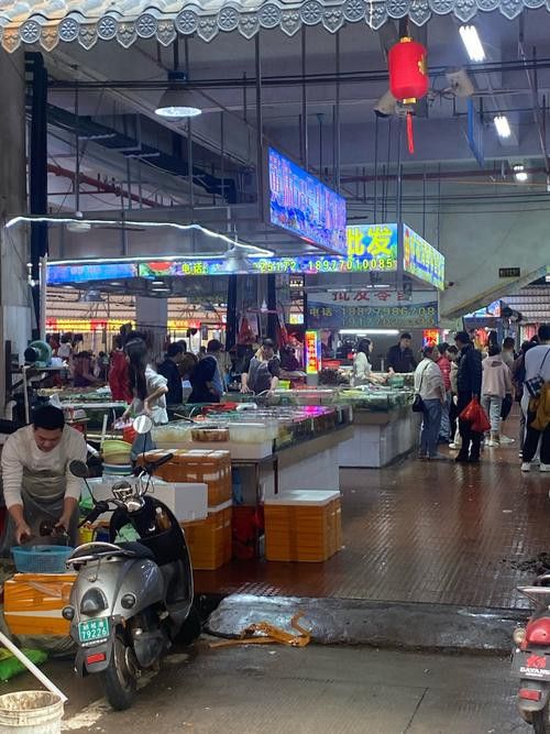 鄭州哪個市場賣龍魚好吃 鄭州哪個市場賣龍魚好吃 龍魚百科 第6張