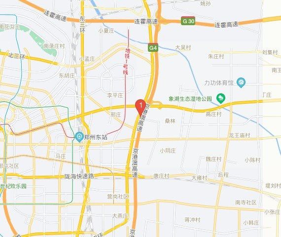 鄭州哪個市場賣龍魚好吃 鄭州哪個市場賣龍魚好吃 龍魚百科 第10張