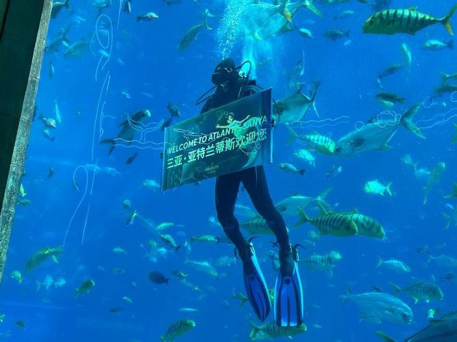 衡水龍魚水族館在哪個位置呀 衡水龍魚水族館在哪個位置呀 龍魚百科 第5張