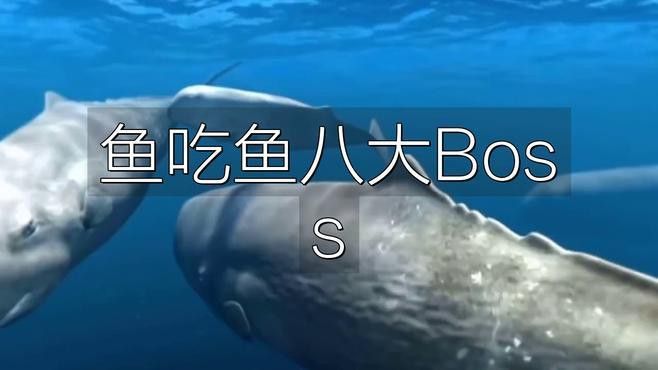游戲《魚吃魚》有哪些Boss可以挑戰(zhàn)？ 游戲《魚吃魚》有哪些Boss可以挑戰(zhàn)？ 龍魚百科 第4張
