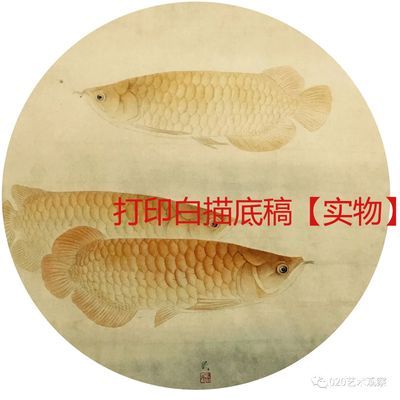 工筆金龍魚底稿，工筆金龍魚底稿是一種傳統(tǒng)的中國畫技法