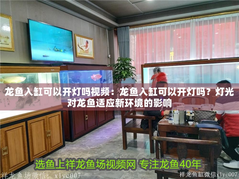 龍魚入缸可以開燈嗎視頻：龍魚入缸可以開燈嗎？燈光對龍魚適應新環境的影響