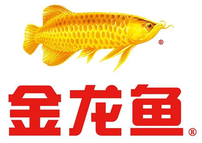 金龍魚商標(biāo)是什么魚