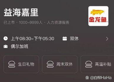 洛陽金龍魚商貿有限公司怎么樣 洛陽金龍魚商貿有限公司怎么樣 龍魚百科 第8張