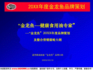 金龍魚營銷策劃方案模板怎么寫：金龍魚營銷策劃方案模板 金龍魚營銷策劃方案模板怎么寫：金龍魚營銷策劃方案模板 龍魚百科 第2張