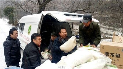 金龍魚魚類現(xiàn)狀調(diào)查報告：金龍魚市場現(xiàn)狀調(diào)查報告 金龍魚魚類現(xiàn)狀調(diào)查報告：金龍魚市場現(xiàn)狀調(diào)查報告 龍魚百科 第2張