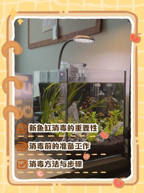 騰龍魚缸使用方法圖解