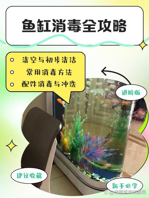 騰龍魚缸使用方法圖解