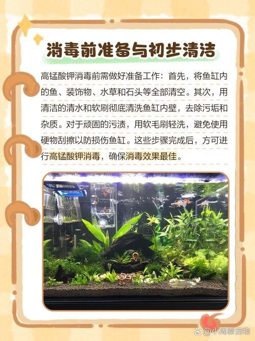騰龍魚缸使用方法圖解