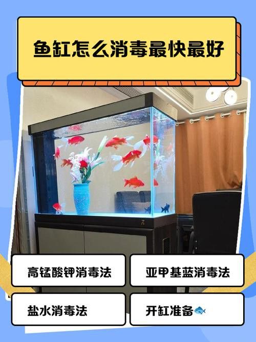 騰龍魚缸使用方法圖解