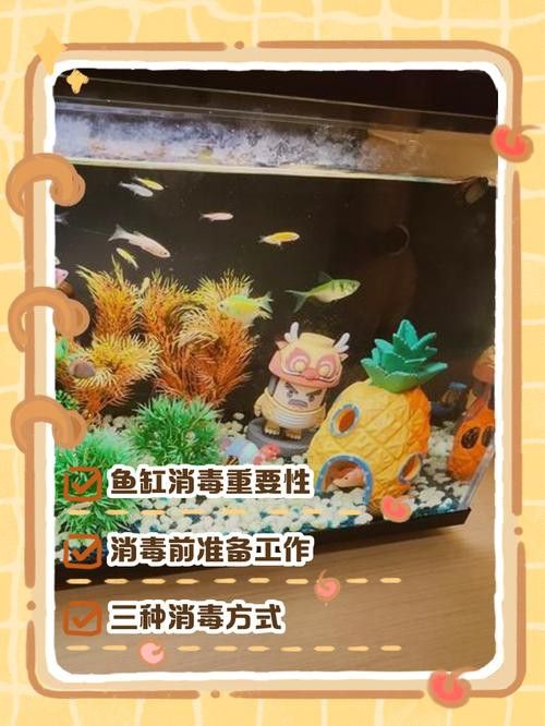 騰龍魚缸使用方法圖解