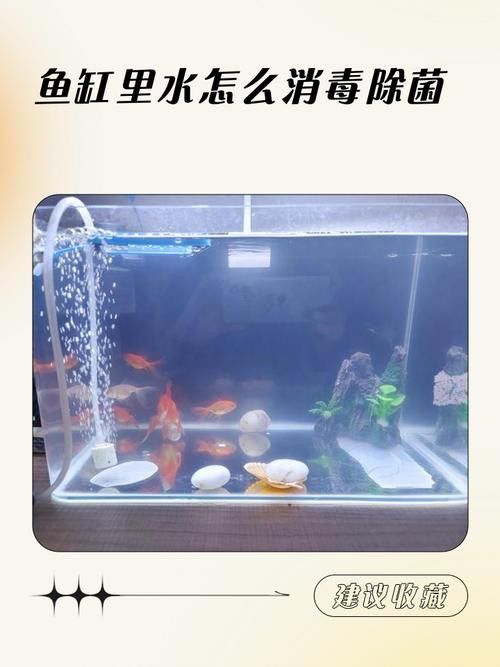 騰龍魚缸使用方法圖解