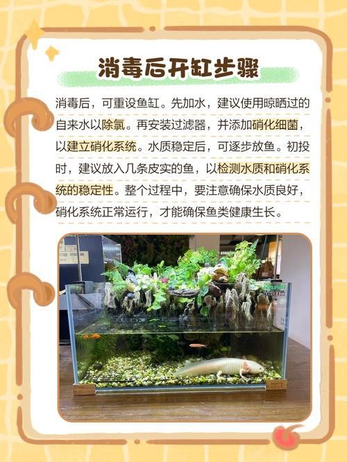 騰龍魚缸使用方法圖解