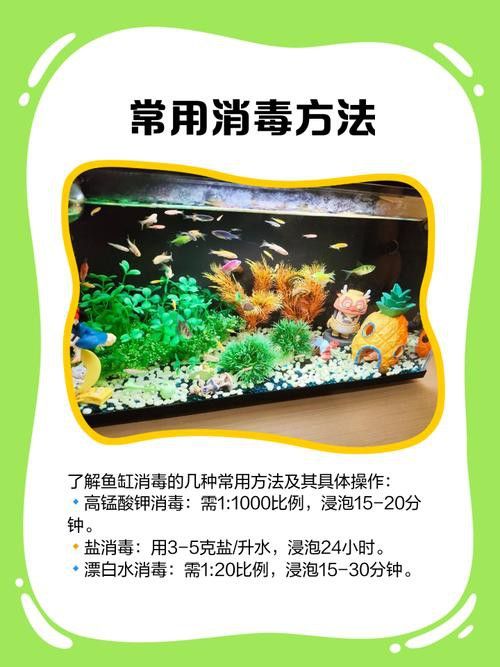 騰龍魚缸使用方法圖解