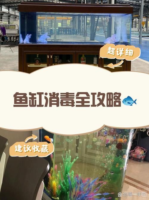 騰龍魚缸使用方法圖解