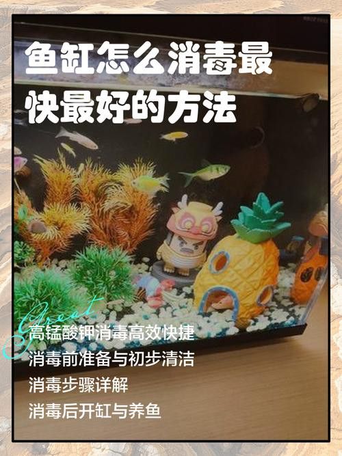 騰龍魚缸使用方法圖解