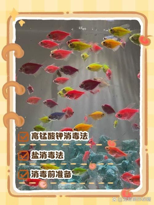 騰龍魚缸使用方法圖解