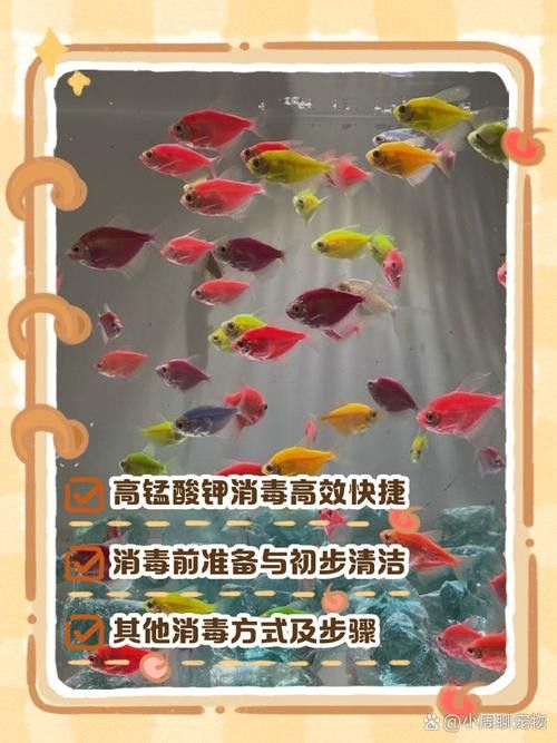 騰龍魚缸使用方法圖解