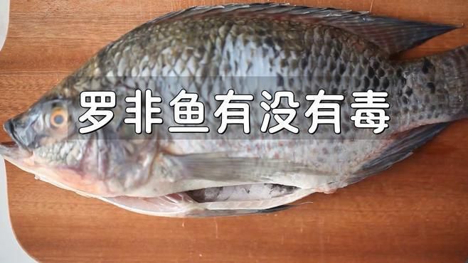 羅非魚為何要盡量少吃