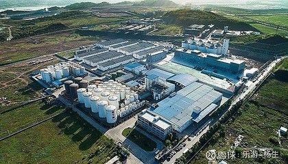 金龍魚加工廠在什么地方（金龍魚加工廠） 金龍魚加工廠在什么地方（金龍魚加工廠） 龍魚百科 第2張