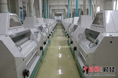 金龍魚加工廠在什么地方（金龍魚加工廠） 金龍魚加工廠在什么地方（金龍魚加工廠） 龍魚百科 第3張
