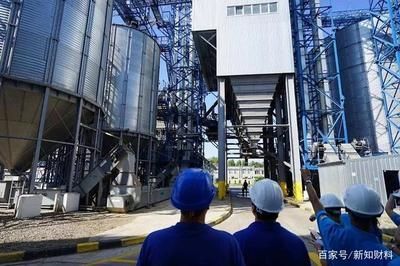 金龍魚加工廠在什么地方（金龍魚加工廠） 金龍魚加工廠在什么地方（金龍魚加工廠） 龍魚百科 第1張