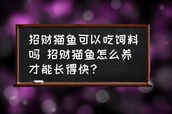 如何自制招財貓魚飼料：制作招財貓魚飼料的方法